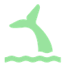 Whale Tail